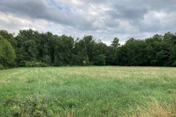 Agrarische grond Bredeweg Sint Joost