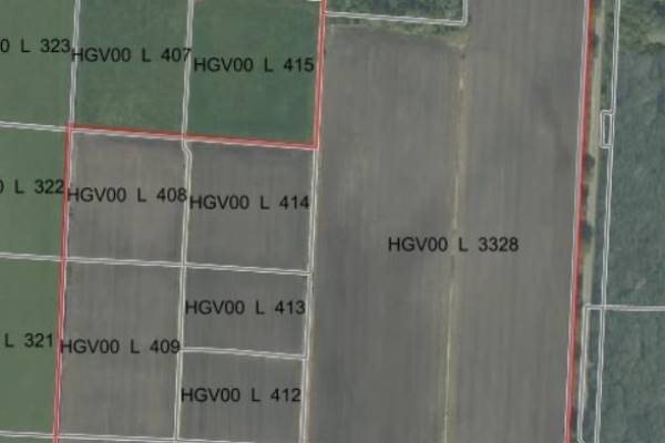 Agrarische grond Schoonhovenweg Hollandscheveld