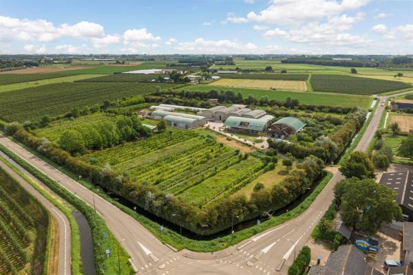 Agrarisch bedrijf Esterweg 57 Ophemert