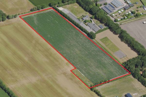 Agrarische grond Scheiweg Gemert