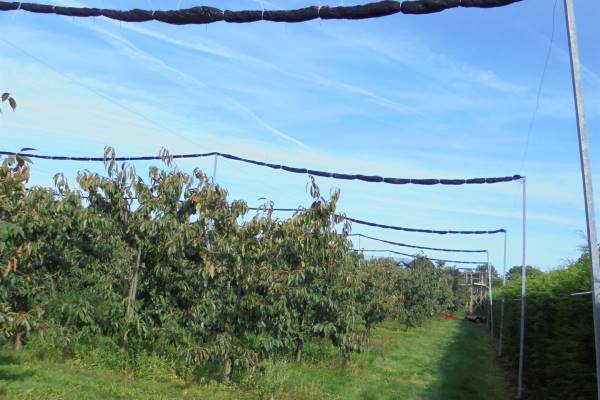 Agrarische grond Kromstraatje Oud Gastel