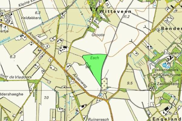 Agrarische grond Anserweg Ruinen (Gem. De Wolden)