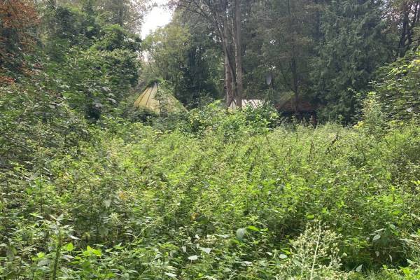 Agrarische grond Ullingen Ledeacker