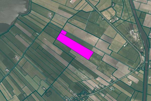 Agrarische grond Bolten Tjerkgaast