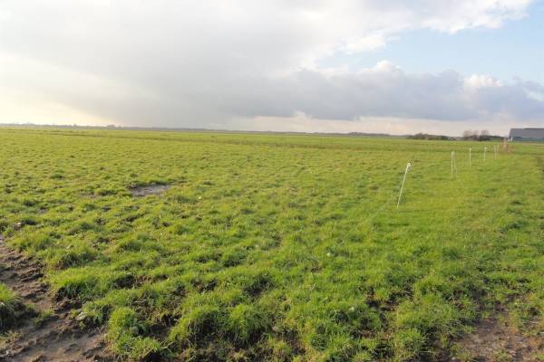 Agrarische grond Korssesteeg Westbroek