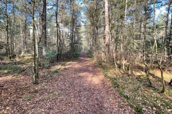 Agrarische grond Forthaarsweg Holten