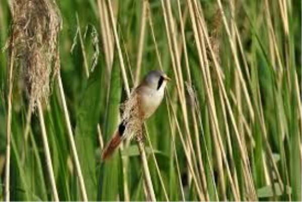 Agrarisch bedrijf Kalenberg Zuid Kalenberg