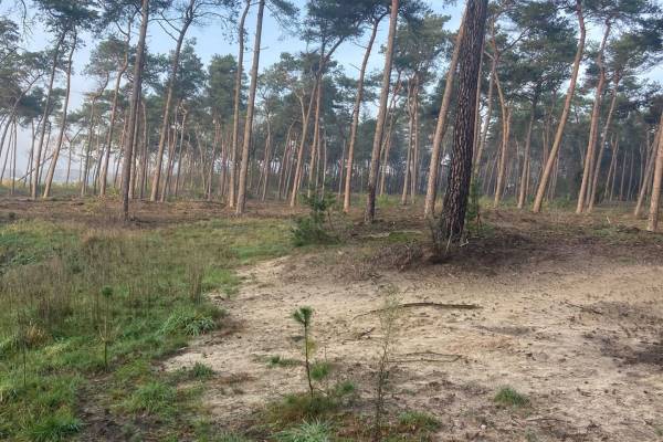 Agrarische grond Stevensbeekseweg Overloon