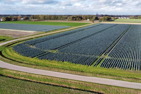 Agrarische grond Herstraat Den Hout