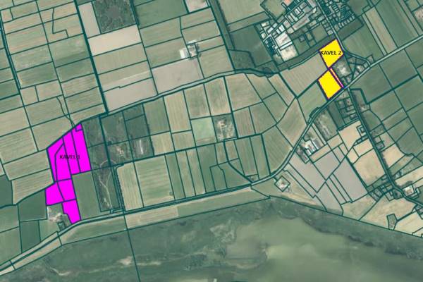 Agrarische grond wieldyk Mirns