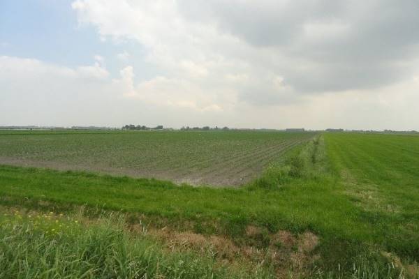 Agrarische grond Achttienkavelsweg Nieuwkoop