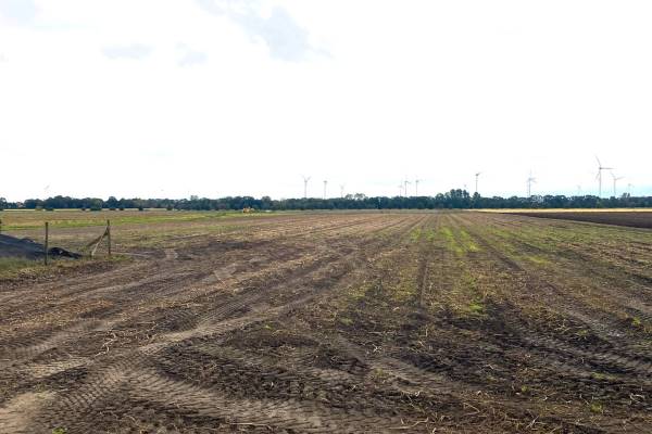 Agrarische grond Nieuwe Veenweg Ter Apel