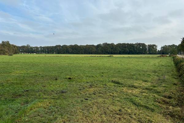 Agrarische grond Cultuurgrond Heischoorstraat Klein Zundert