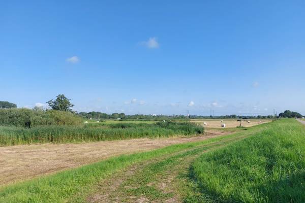 Agrarische grond Gennerdijk Hasselt