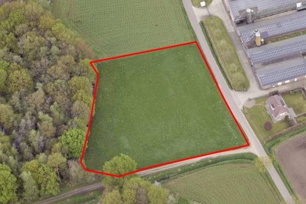 Agrarische grond Kruisstraat Stramproy