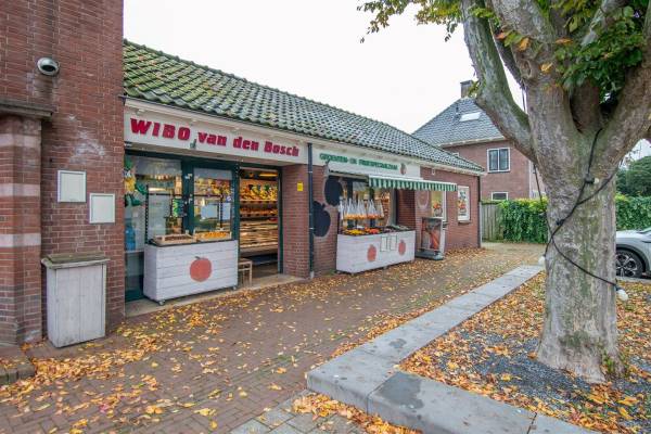 Winkelruimte Dorpsstraat 50-B Elst (GE)