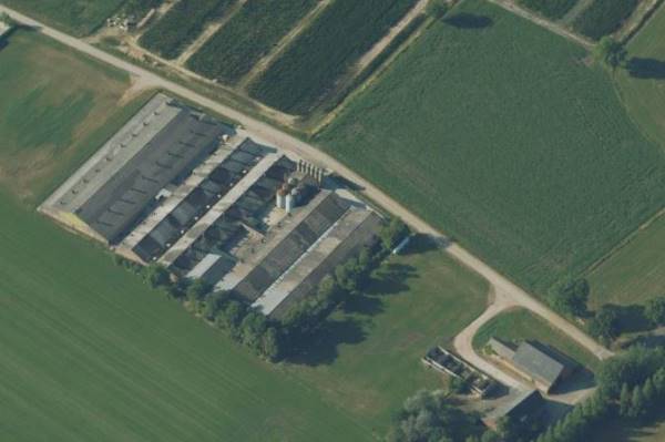 Agrarisch bedrijf Maaijkant 11 Ulicoten