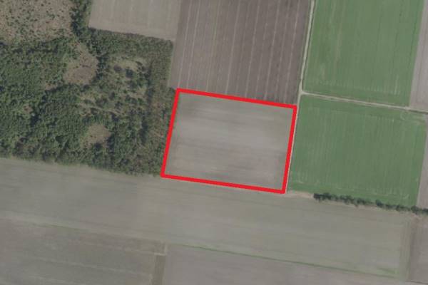 Agrarische grond Zeilbergseweg Ysselsteyn