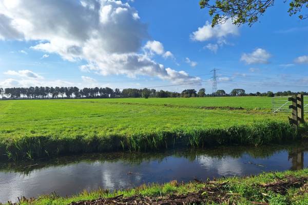 Agrarische grond Kweldamweg Molenaarsgraaf