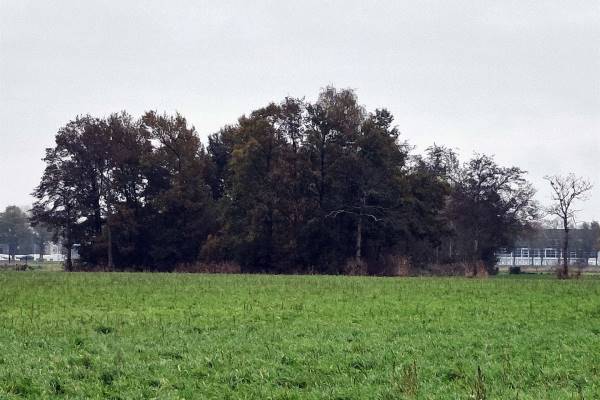 Agrarische grond jukweg Elburg