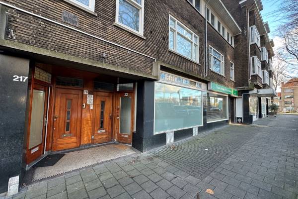 Winkelruimte Prinses Mariannelaan 221 Voorburg