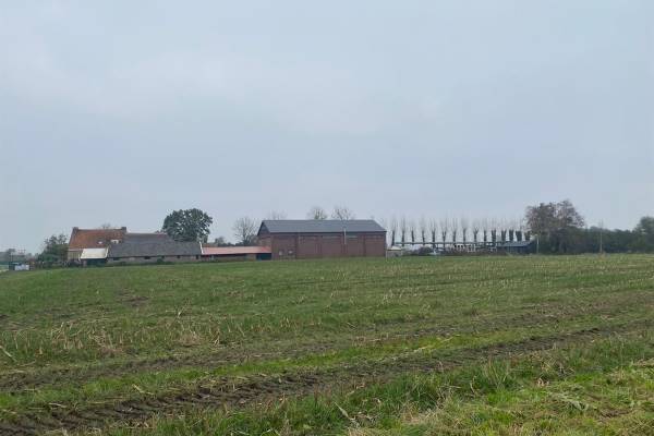 Agrarische grond Herelsestraat Heerle