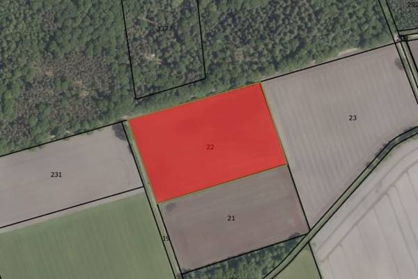 Agrarische grond Peelweg Ysselsteyn