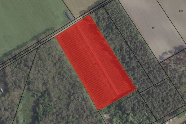 Agrarische grond Het Zand Westerbeek