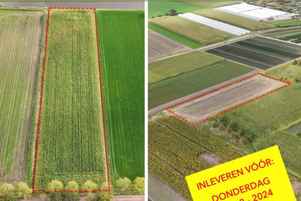 Agrarische grond Belversestraat Haaren