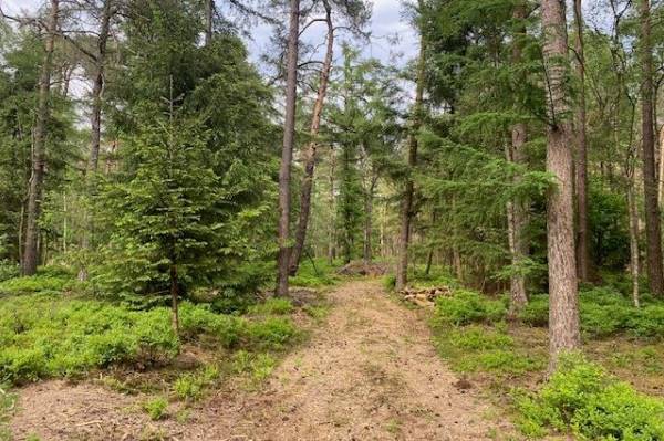 Agrarische grond Elburgerweg Epe