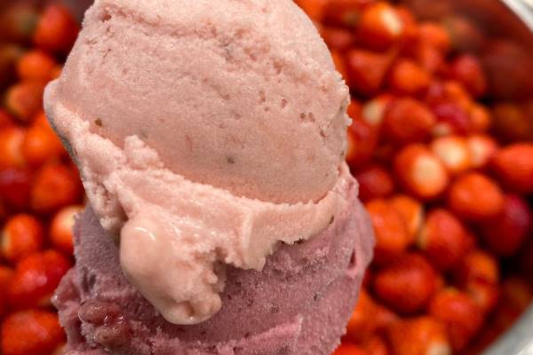 Horecagelegenheid Torenpad 13 Nunspeet