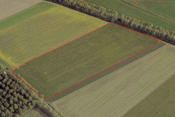 Agrarische grond aan de Knokkertweg Cadzand