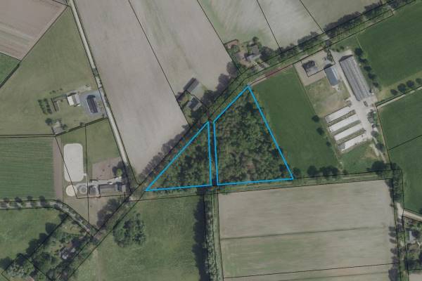 Agrarische grond Herenbosweg Melderslo