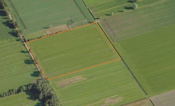 Agrarische grond Meerdijk Lierop