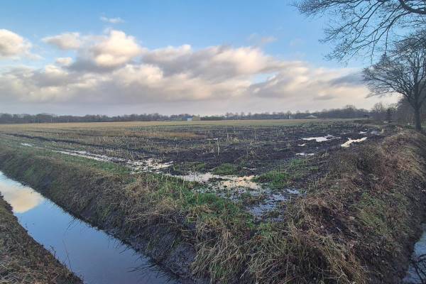 Agrarische grond Hooistraat Uden