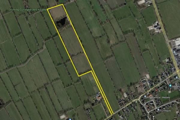 Agrarische grond Westerweg 31 Noordwijk (GR)