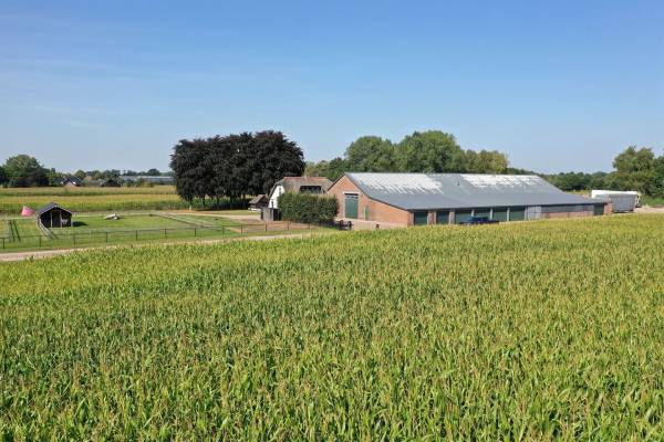 Agrarisch bedrijf Esvelderweg 23 Kootwijkerbroek