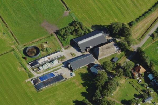 Agrarisch bedrijf Snakkerbuorren 12 Rotstergaast