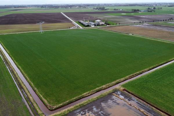 Agrarische grond Kraanschotsedijk Oosteind