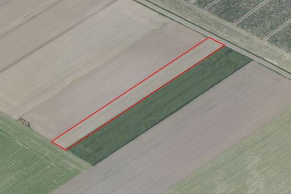 Agrarische grond Heinsbergerweg Montfort