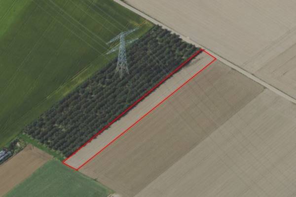 Agrarische grond Waarderweg Montfort