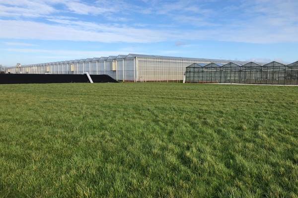 Agrarische grond Groeneveldseweg 8nabij De Lier