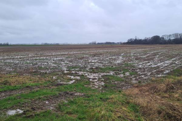 Agrarische grond Deelenweg Maren-Kessel