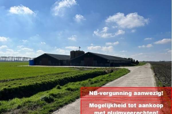 Agrarisch bedrijf Zevenbergseweg 11 Klundert