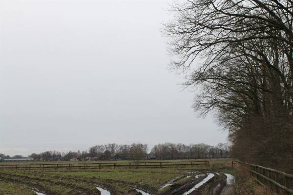 Agrarische grond Grond nabij Roekelse Zandweg Wekerom