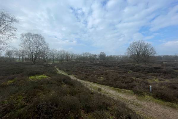 Agrarische grond Beilerstraat Westerbork