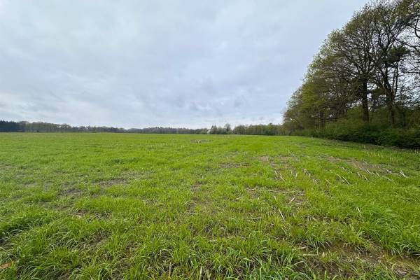 Agrarische grond Apenbergerweg Markelo