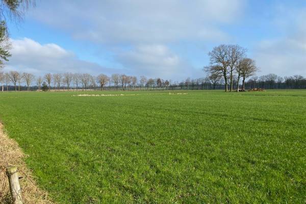 Agrarische grond Fitselsteeg Sint-Oedenrode