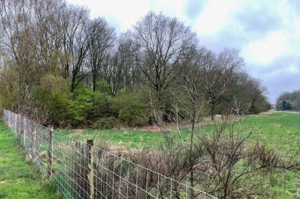Agrarische grond Groeneweg ong. - Perceel bosgrond Daarle