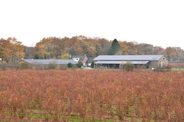 Agrarisch bedrijf Noorderweg 3 Tiendeveen (Gem. Hoogeveen)
